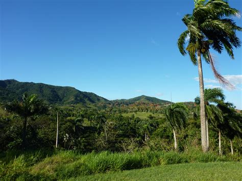 dominican republic nude beach|Inside New Cambium Naturist Resort 